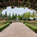 장미의거리8 이미지