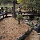 상수초교 이미지