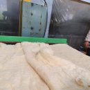 목화(1차) 이미지