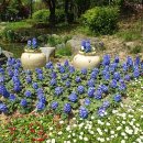 건강한미래항외과의원 이미지