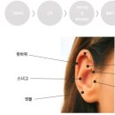 프리미엄에스의원 이미지