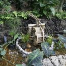 신흥당한의원 이미지