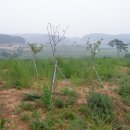 태안별장 이미지