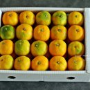 소랑하우스 이미지