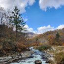 이청용은 바보가 아니다! 이미지