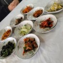 노고단 콩나물