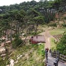 뿌리공원 둘레길 이미지