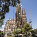 울산대교아래북측L | [🇪🇸] 다시 떠난 유럽 - 13, 14일차 (바르셀로나)