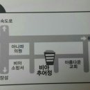 비아추어정