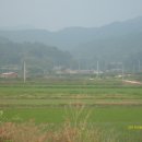 옹동우체국 이미지