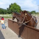 위미3리 마을회관 이미지