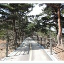 해파랑길 42코스 이미지