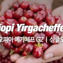 감탄커피 - 강남구 테헤란로 522 | 감탄커피
