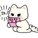 땡큐직구