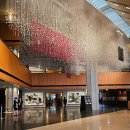 남산헬스사우나 | 서울 신라호텔 이그제큐티브 라운지 솔직후기 (가격, 조식,해피아워,레이트 체크아웃)