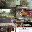 (주)백구
