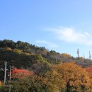 장미모사 | 삼척시 - 삼척 봉황산 미륵삼불, 삼척 척주동해비 및 평수토찬비