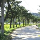 연평보건지소 이미지