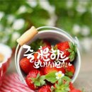 밀바 Daum카페