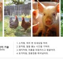 창조정보기술 이미지