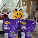 고양이나라 | 🐾 대기업이 만든 갓성비 고양이모래! 깨끗한나라 포포몽 카사벤토 후기