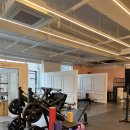 루다피티 이미지