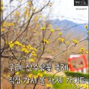 산수유꽃길로 | [구례 산수유축제] 내가 보려고 열심히 모은 유용 정보 총정리 (+관람코스, 개화정보)