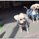 마인드몽 유치원 이미지
