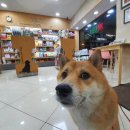 페토피아 동물병원 이미지