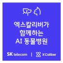 원주24시스카이동물메디컬센터