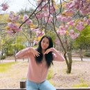 서울365소아청소년과의원 네이버블로그