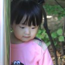 에이스어린이집 이미지