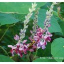 구렁농장 이미지