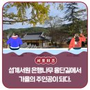 윤은보·서즐정려각 | 김천 가을 여행! 섬계서원 500년 은행나무 융단길에서 가을의 주인공이 되다! _ 김천시 서포터즈 이지원