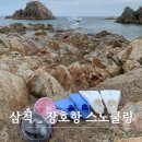 도장포어촌체험마을 | 삼척 장호항 스노쿨링 명소 어촌체험마을 9월방문 후기