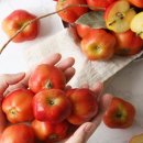 영주농장 이미지