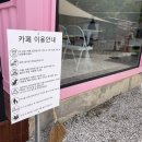 핑크깡통 네이버블로그