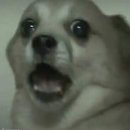 두둥