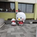 2026년 대한적십자사 토론 인성 최종면접 후기