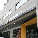 180도그