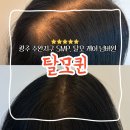 6657 | [광주 수완지구] 탈모·두피관리 '탈모퀸' 강력 추천하게된 솔직후기