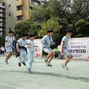 다 같이 돌자 숭의 한바퀴!’ 온 가족이 함께 남산을 걸어요 이미지