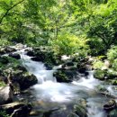 숨은 계곡 이미지