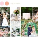 피치핑크 이미지