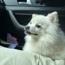 청산한우목장 이미지