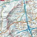 함평나비(무안) 이미지