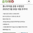 숲속애 휴가 이미지