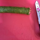 품은김밥