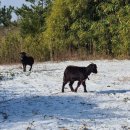 수레로3 이미지