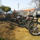 미니마차 이미지